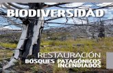 BIODIVERSIDAD - Bosques Nativos Argentinos