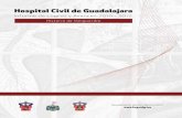 Informe de Logros y Avances 2010 - 2012 Historia de Vanguardia