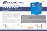 CALDERA - flowing.com.ar