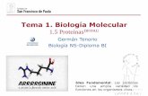 Tema 1. Biología Molecular