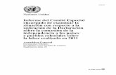 Informe del Comité Especial aplicación de la Declaración ...