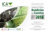 AUDIENCIA PUBLICA DE RENDICIÓN - ica.gov.co