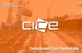 Informe 2019 - Grupo CICE