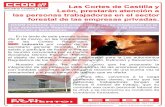 2020-03-03 Las Cortes de Castilla y ... - industria.ccoo.es