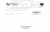 Fondecyt - repositorio.conicyt.cl
