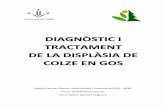 DIAGNÒSTIC I TRACTAMENT DE LA DISPLÀSIA DE COLZE EN GOS
