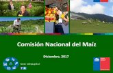 Comisión Nacional del Maíz - ODEPA | Oficina de Estudios ...