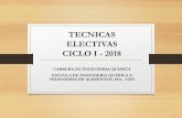 TECNICAS ELECTIVAS CICLO I - 2013 - UES