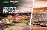 Diplomado - Gestión Ambiental Aplicada a la Minería