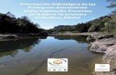 Priorización Hidrológica de las Principales Asociaciones ...