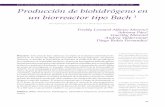 pre-til Producción de biohidrógeno en un biorreactor tipo Bach