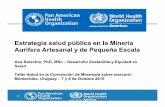 Estrategia salud pública en la Minería Aurífera Artesanal ...