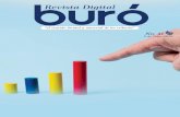 Revista Digital - Buró de Auditores “De León De León ...