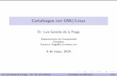 Cortafuegos con GNU/Linux