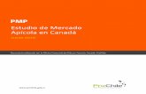 Estudio de Mercado Apícola en Canadá - acceso.prochile.cl