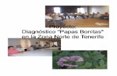 Informe papas bonitas I - AgroCabildo