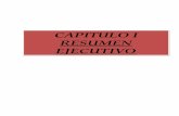 CAPITULO I RESUMEN EJECUTIVO - Huancavelica Region