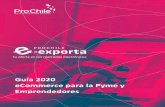 Guía 2020 eCommerce para la Pyme y Emprendedores