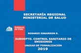 SECRETARÍA REGIONAL MINISTERIAL DE SALUD
