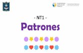 - NT1 - Patrones