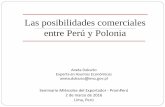 Las posibilidades comerciales entre Perú y Polonia