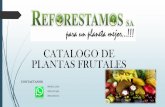 CATALOGO DE PLANTAS FRUTALES