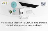 Visibilidad Web en la UNAM: una mirada digital al quehacer ...