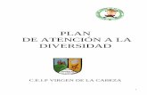PLAN DE ATENCIÓN A LA DIVERSIDAD - Junta de Andalucía