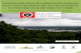 Estrategia regional de conservación de bosque seco y ...