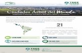 Ciudades Árbol del Mundo - Tree Cities of the World