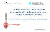 Nuevo modelo de atención integrada de la lumbalgia en el ...