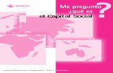 el Capital Social - Amycos