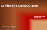 La Plantilla CRIRSCO 2020