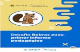 Informe pedagógico - Bebras 2021