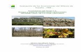 Evaluación de los Ecosistemas del Milenio de España – EME