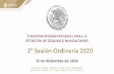 2ª Sesión Ordinaria 2020 - El portal único del gobierno.