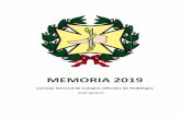 MEMORIA 2019 - Consejo General de Colegios Oficiales de ...