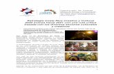 Comu381-2020 ECRCC2030 - Estrategia Costa Rica Creativa y ...