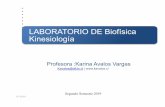 LABORATORIO DE Biofísica Kinesiología