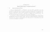 CAPÍTULO IV RESULTADOS DE LA INVESTIGACIÓN 1. ANALISIS …
