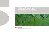 Niveles foliares de nutrientes en parcelas de clones de ...
