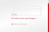 Protección de Pagos - Banco Santander Río