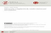 Scarinci, María Noelia Interacción y regulación de canales ...