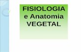FISIOLOGIA e Anatomia VEGETAL - policiamilitar.mg.gov.br