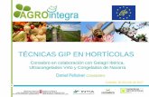 TÉCNICAS GIP EN HORTÍCOLAS - agrointegra.eu