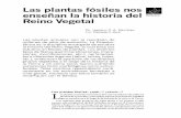 Las plantas fósiles nos enseñan la historia del BOTÁNICA ...