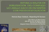 Patricia Bayo Calduch, Mayerling M. Suriano