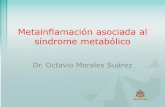 Metainflamación asociada al síndrome metabólico