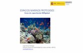 ESPACIOS MARINOS PROTEGIDOS - MSPGLOBAL2030