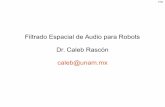 Filtrado Espacial de Audio para Robots Dr. Caleb Rascón